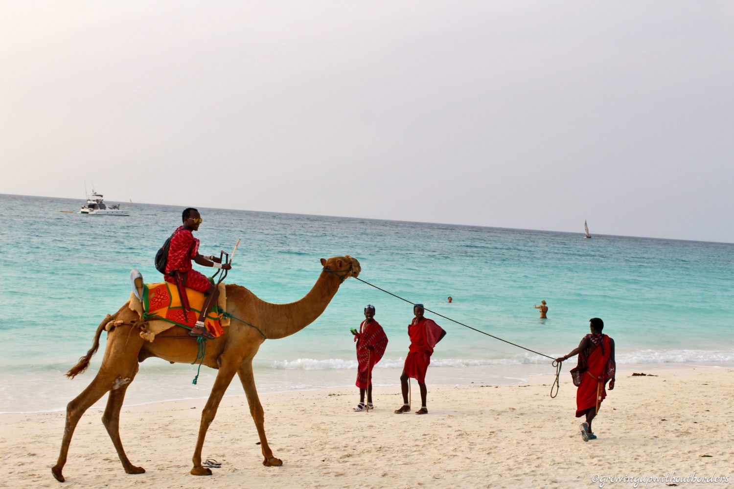 Zanzibar, Camels